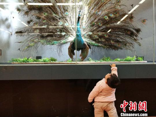 圖為展覽現(xiàn)場?！『h(yuǎn)航 攝