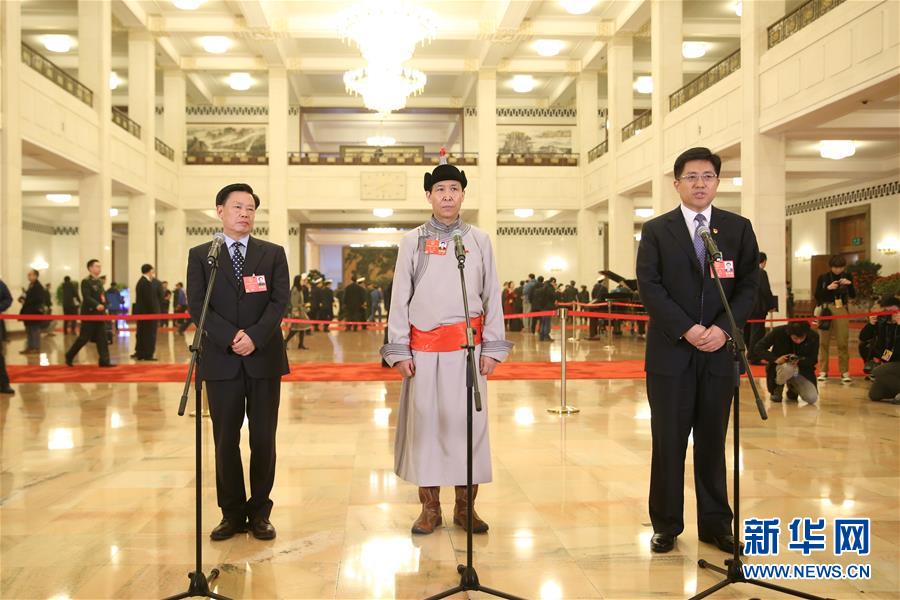 （兩會&middot;XHDW）（2）全國人大代表接受采訪