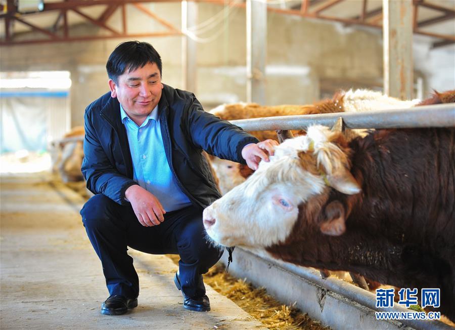 (兩會(huì)·基層代表履職故事)(4)全國(guó)人大代表吳云波:共享新時(shí)代發(fā)展成果