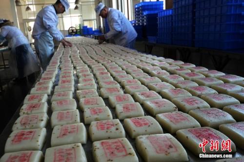 資料圖：師傅們在把制作好的桂花糖年糕擺放整齊。王思哲 攝