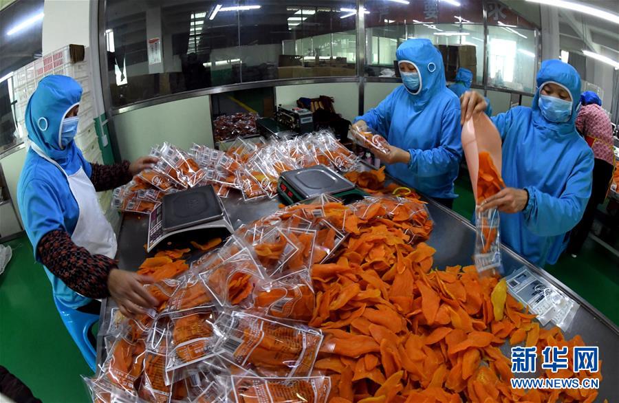 (社會)(4)福建連城:山村電商闖出致富路