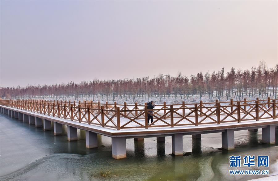 （在習(xí)近平新時代中國特色社會主義思想指引下&mdash;&mdash;新時代新作為新篇章&middot;圖文互動）（4）水綠相間看古都 古今輝映洛陽城