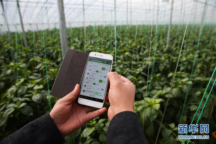 （新華全媒頭條&middot;圖文互動(dòng)）（8）聚焦高質(zhì)量，躍上新臺(tái)階&mdash;&mdash;新年開(kāi)局看中國(guó)經(jīng)濟(jì)信心和潛力