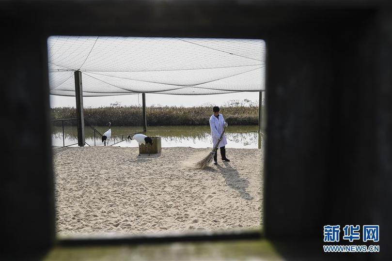 (兩會前夕看落實·圖文互動)(3)綠色發(fā)展引領 守護“魚米之鄉(xiāng)”——江蘇落實習近平總書記全國兩會重要講話精神紀實