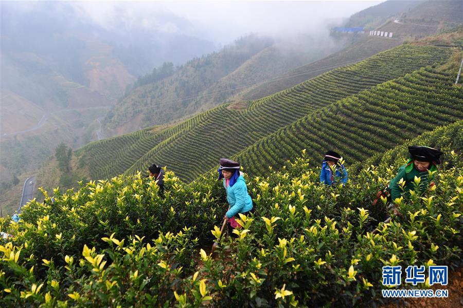 （兩會前夕看落實&middot;圖文互動）（8）決戰(zhàn)脫貧攻堅 奮力后發(fā)趕超&mdash;&mdash;貴州落實習近平總書記全國兩會重要講話精神紀實