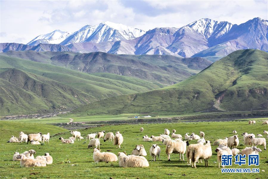 （兩會(huì)前夕看落實(shí)&middot;圖文互動(dòng)）（1）以&ldquo;一優(yōu)兩高&rdquo;戰(zhàn)略描繪三江源壯美畫卷&mdash;&mdash;青海落實(shí)習(xí)近平總書記全國兩會(huì)重要講話精神紀(jì)實(shí)