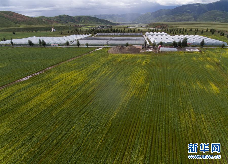 （兩會(huì)前夕看落實(shí)&middot;圖文互動(dòng)）（6）&ldquo;飛針走線&rdquo;&ldquo;繡&rdquo;出小康畫卷&mdash;&mdash;四川落實(shí)習(xí)近平總書記全國兩會(huì)重要講話精神紀(jì)實(shí)