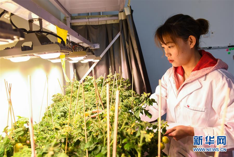 (兩會前夕看落實·圖文互動)(5)在高質(zhì)量發(fā)展的探索中奮進——內(nèi)蒙古落實習(xí)近平總書記全國兩會重要講話精神紀實