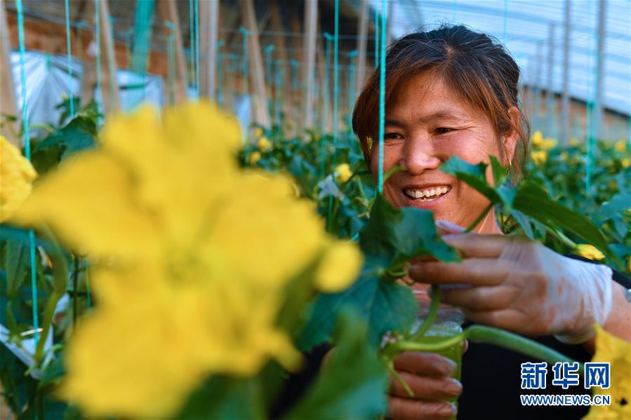 （兩會前夕看落實(shí)&middot;圖文互動(dòng)）（4）融合&ldquo;三生三美&rdquo; 打造鄉(xiāng)村振興齊魯樣板&mdash;&mdash;山東落實(shí)習(xí)近平總書記全國兩會重要講話精神紀(jì)實(shí)