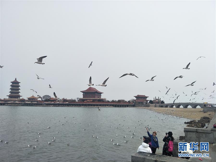 （新華全媒頭條&middot;圖文互動(dòng)）（6）滄海桑田一指間&mdash;&mdash;6個(gè)村莊的70年巨變 