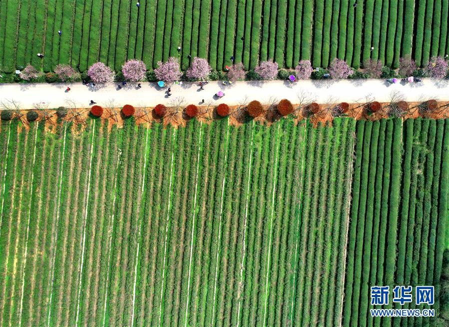 （新華全媒頭條&middot;兩會(huì)精神看落實(shí)&middot;圖文互動(dòng)）（3）保持戰(zhàn)略定力 跨越重要關(guān)口&mdash;&mdash;落實(shí)兩會(huì)精神加強(qiáng)生態(tài)文明建設(shè)述評(píng)