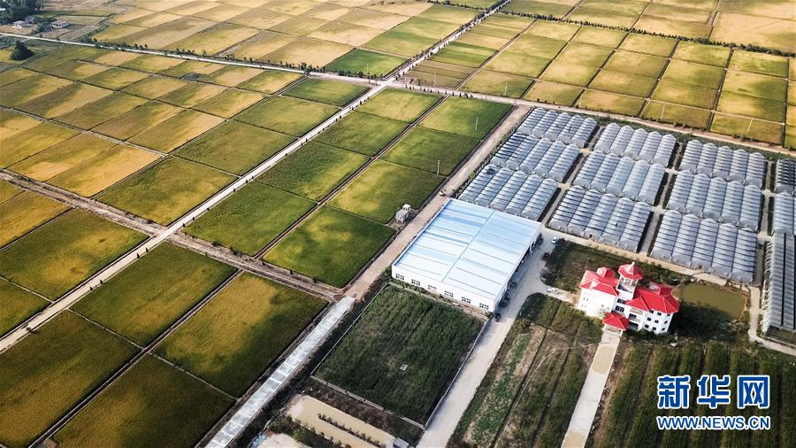 （新華全媒頭條&middot;愛國情 奮斗者&middot;圖文互動）（8）一個村的奮斗，一個時代的巨變&mdash;&mdash;記敢&ldquo;蹚新路&rdquo;的小崗人