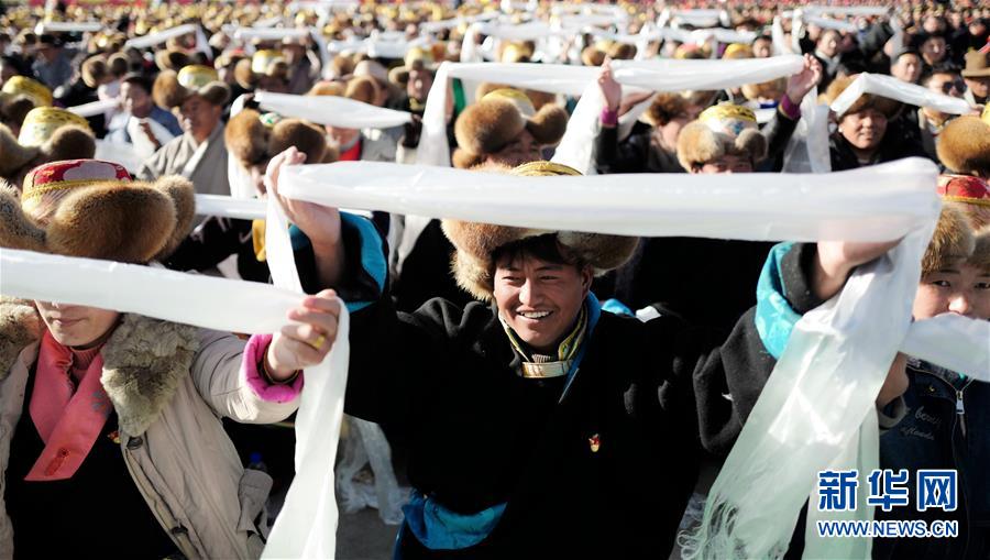 (西藏民主改革60年)(4)慶祝西藏民主改革60周年大會(huì)在拉薩舉行