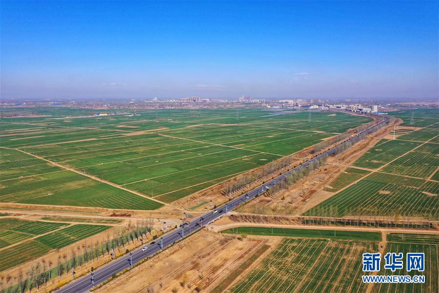 （新華全媒頭條&middot;圖文互動）（2）奮進(jìn)，向著未來之城！&mdash;&mdash;河北雄安新區(qū)建設(shè)發(fā)展兩周年紀(jì)實(shí)