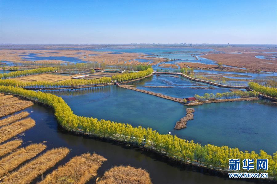 （新華全媒頭條&middot;圖文互動）（5）奮進(jìn)，向著未來之城！&mdash;&mdash;河北雄安新區(qū)建設(shè)發(fā)展兩周年紀(jì)實(shí)