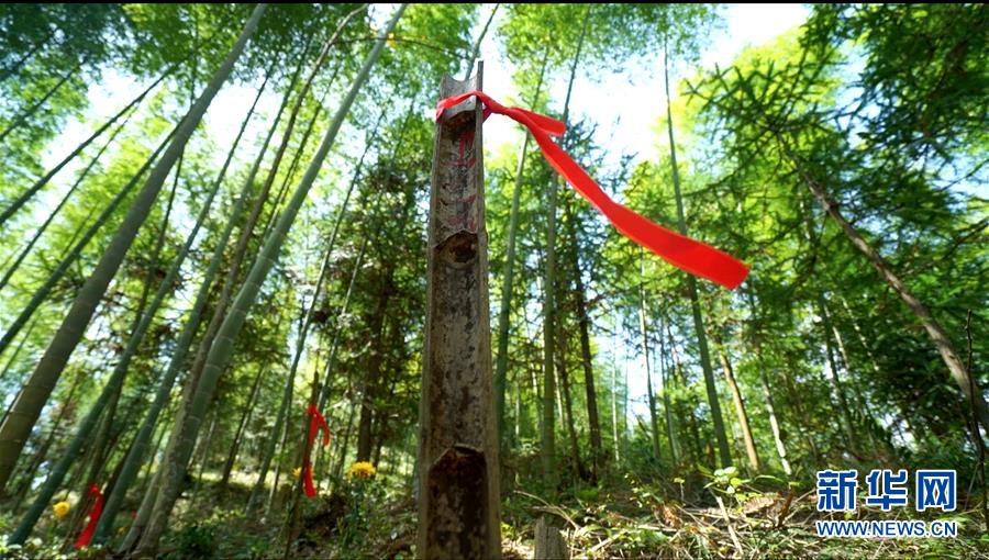 （圖文互動(dòng)）（2）永不遲到的祭奠&mdash;&mdash;追尋1343座無名紅軍墓背后的故事