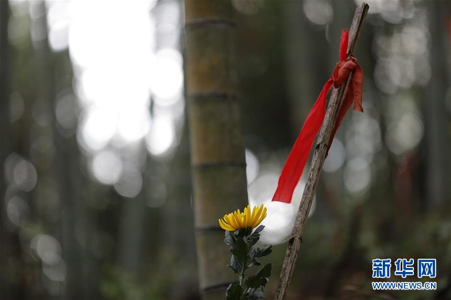 （圖文互動(dòng)）（5）永不遲到的祭奠&mdash;&mdash;追尋1343座無名紅軍墓背后的故事