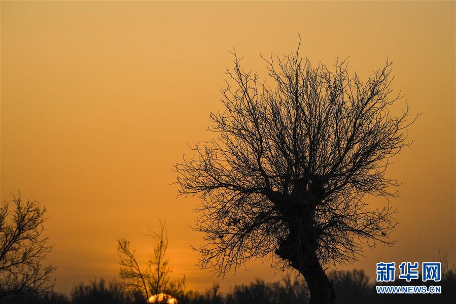 （新華全媒頭條&middot;圖文互動）（2）一步千年，&ldquo;最后的沙漠部落&rdquo;遷入新家園
