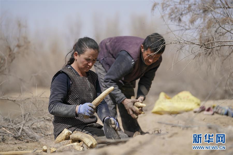 （新華全媒頭條&middot;圖文互動）（6）一步千年，&ldquo;最后的沙漠部落&rdquo;遷入新家園