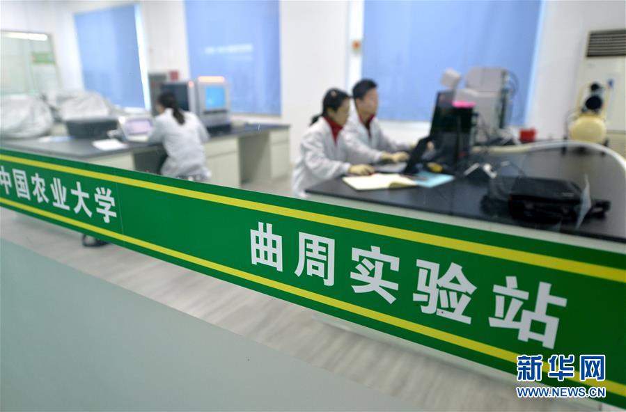 （愛(ài)國(guó)情 奮斗者&middot;圖文互動(dòng)）（3） &ldquo;解民生之多艱，育天下之英才&rdquo;&mdash;&mdash;中國(guó)農(nóng)大師生扎根田野書(shū)寫(xiě)奉獻(xiàn)之歌