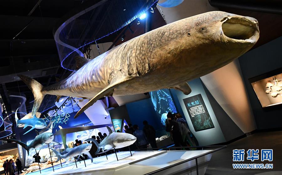 (社會)(6)國家海洋博物館5月1日試運(yùn)行