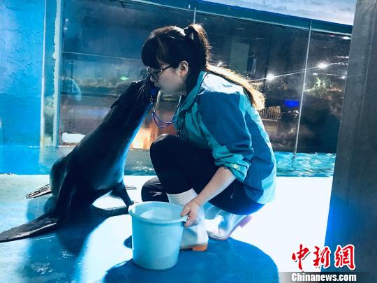 于雅麗與海獅親密瞬間?！“瑧c龍 攝