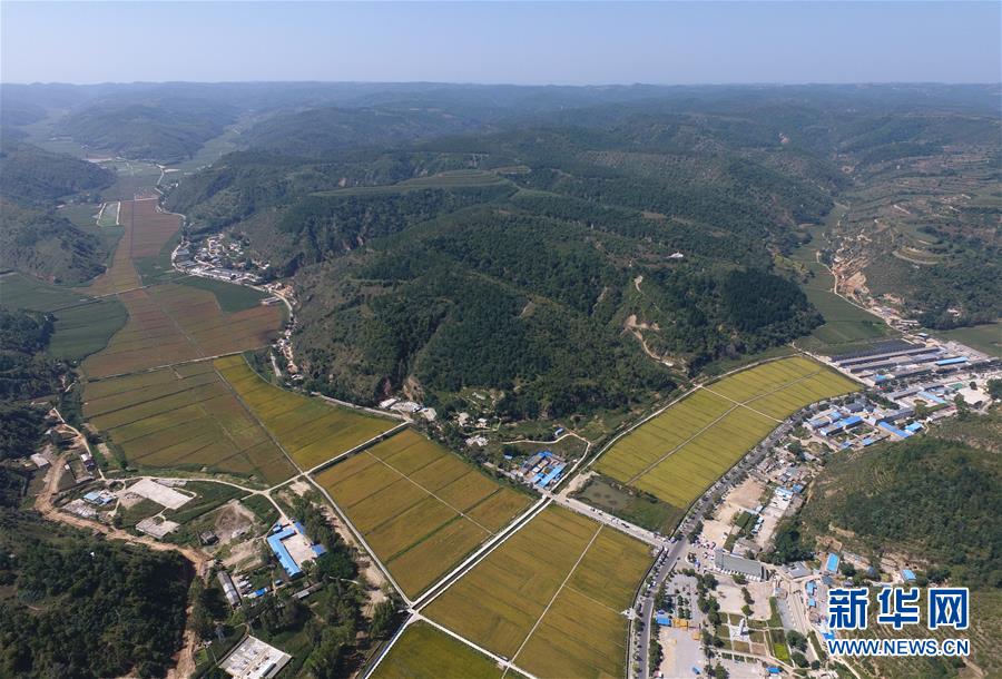 （圖文互動）（1）今日延安：&ldquo;對照過去我認不出了你&rdquo;&mdash;&mdash;紅色圣地的生態(tài)交響曲