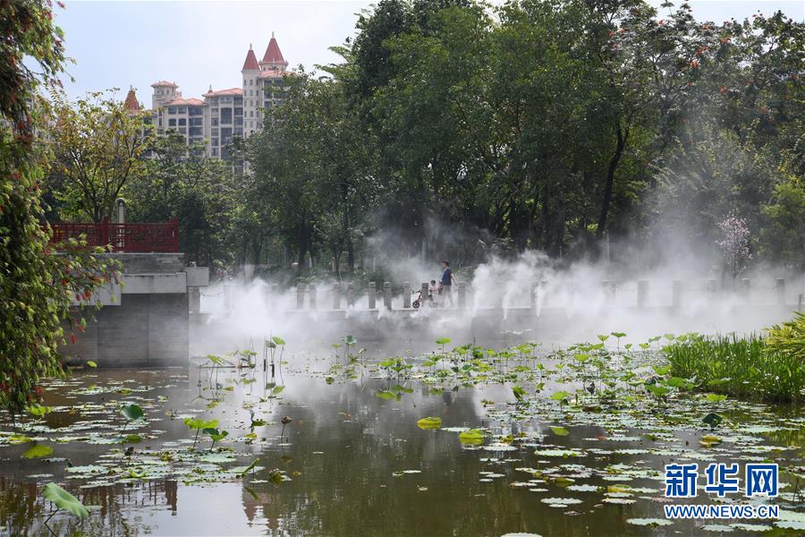 （在習(xí)近平新時代中國特色社會主義思想指引下&mdash;&mdash;新時代新作為新篇章&middot;圖文互動）（4）濕地就在城中央&mdash;&mdash;珠三角重塑人與自然和諧共生圖景