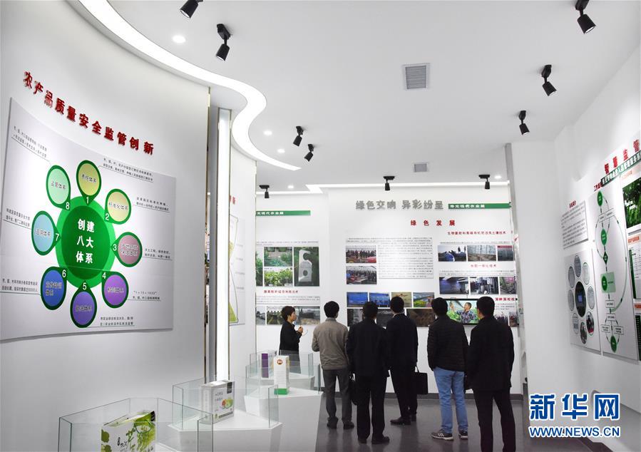 （壯麗70年&middot;奮斗新時(shí)代&middot;圖文互動）（5）山東壽光：一棵&ldquo;菜&rdquo;興一座城 