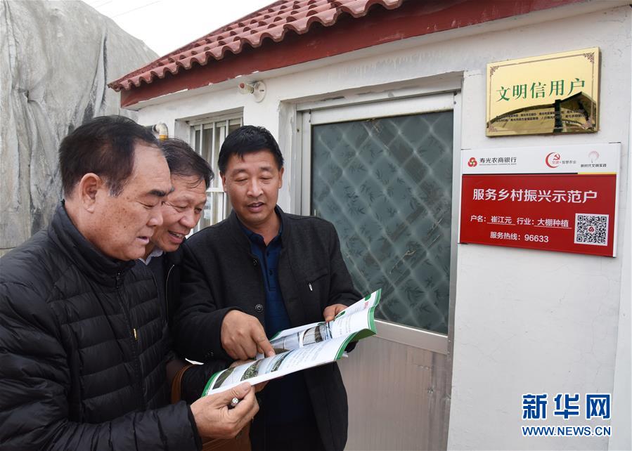 （壯麗70年&middot;奮斗新時(shí)代&middot;圖文互動）（6）山東壽光：一棵&ldquo;菜&rdquo;興一座城 