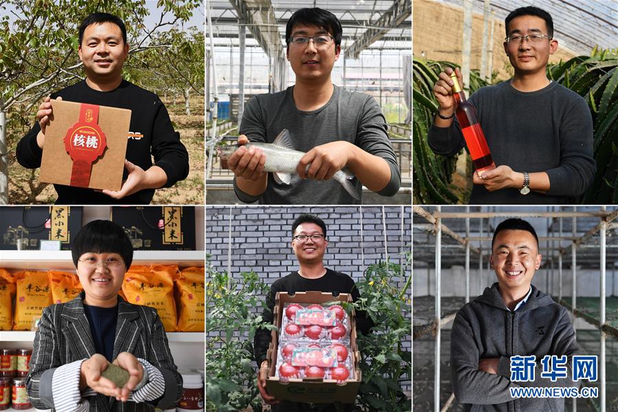 (在習(xí)近平新時代中國特色社會主義思想指引下——新時代新作為新篇章·圖文互動)(1)在綠色田野上書寫青春答卷——幾位“新農(nóng)民”的返鄉(xiāng)創(chuàng)業(yè)故事