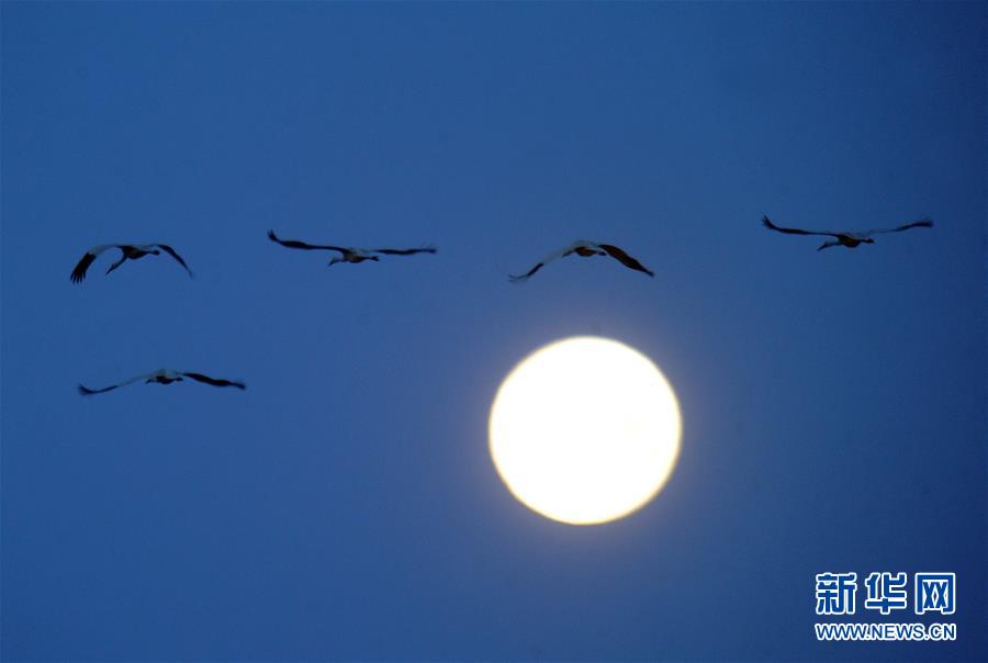 （北京世園會&middot;圖文互動）（1）吉林分區(qū)域推進生態(tài)保護 讓綠色發(fā)展底氣更足