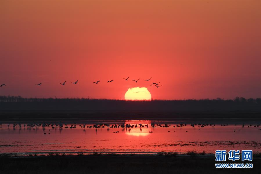 （北京世園會&middot;圖文互動）（3）吉林分區(qū)域推進生態(tài)保護 讓綠色發(fā)展底氣更足