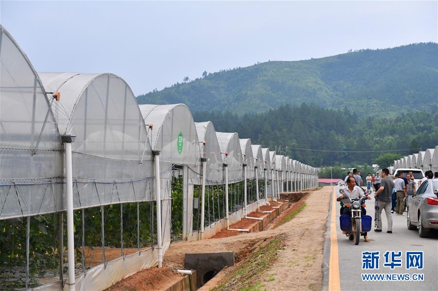 （新華全媒頭條&middot;圖文互動(dòng)）（6）奮力走好新時(shí)代的長征路&mdash;&mdash;習(xí)近平總書記考察江西回訪記