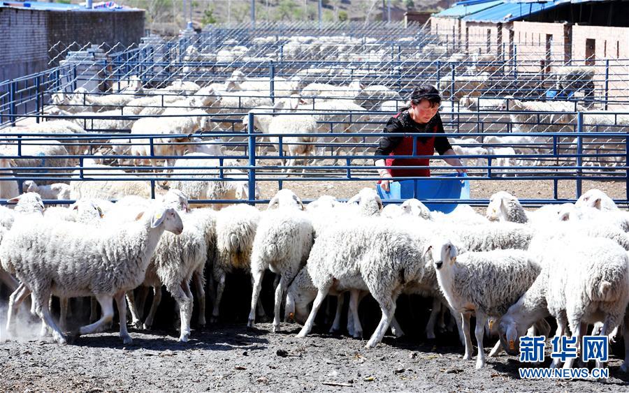 (圖文互動(dòng))(2)柳暗花明又一村——“今日之中國”系列述評(píng)之三
