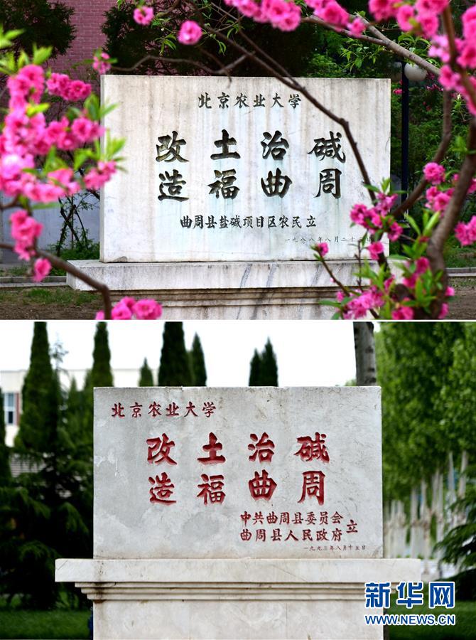 (新華全媒頭條·愛國(guó)情 奮斗者·圖文互動(dòng))(2)把論文寫在祖國(guó)的大地上——中國(guó)農(nóng)業(yè)大學(xué)46年扎根河北曲周服務(wù)鄉(xiāng)村振興紀(jì)實(shí)