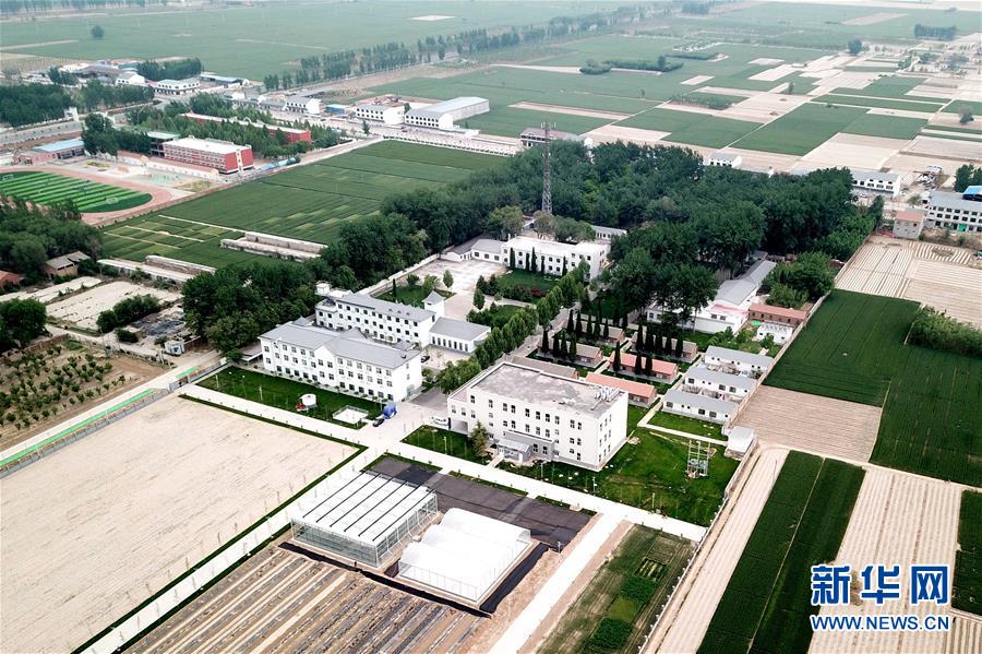 (新華全媒頭條·愛國(guó)情 奮斗者·圖文互動(dòng))(12)把論文寫在祖國(guó)的大地上——中國(guó)農(nóng)業(yè)大學(xué)46年扎根河北曲周服務(wù)鄉(xiāng)村振興紀(jì)實(shí)