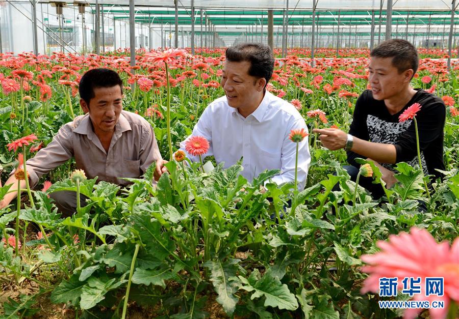 （新華全媒頭條&middot;圖文互動）（6）鍛造領(lǐng)航復(fù)興的中流砥柱&mdash;&mdash;寫在&ldquo;不忘初心、牢記使命&rdquo;主題教育即將啟動之際