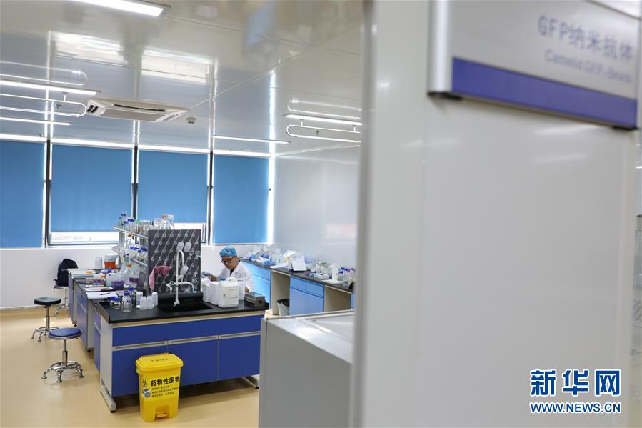 (在習(xí)近平新時(shí)代中國(guó)特色社會(huì)主義思想指引下——新時(shí)代新作為新篇章·圖文互動(dòng))(6)從種地到“種”高科技產(chǎn)業(yè)——“改革村”的新思維