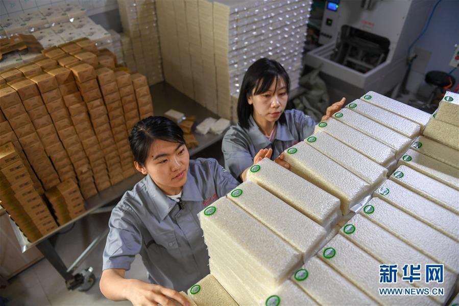 （在習(xí)近平新時代中國特色社會主義思想指引下&mdash;&mdash;新時代新作為新篇章&middot;圖文互動）（7）大學(xué)生種田讓農(nóng)民&ldquo;老把式&rdquo;開了眼&mdash;&mdash;吉林長白山下的稻田新事