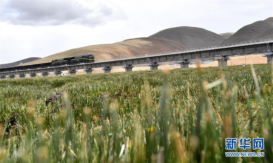 (新華全媒頭條·壯麗70年·奮斗新時代·圖文互動)(15)開拓雪域高原的夢想之路——來自青藏鐵路的蹲點報告