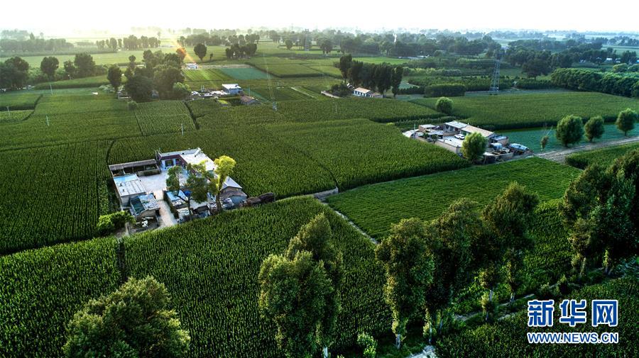 （權(quán)威訪談&middot;聚焦中國(guó)經(jīng)濟(jì)亮點(diǎn)&middot;圖文互動(dòng)）（2）防治土地荒漠化 推動(dòng)綠色發(fā)展&mdash;&mdash;專訪國(guó)家林業(yè)和草原局副局長(zhǎng)劉東生