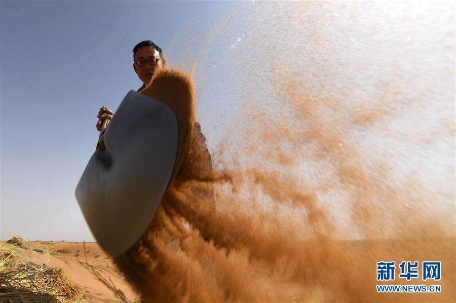 （權(quán)威訪談&middot;聚焦中國(guó)經(jīng)濟(jì)亮點(diǎn)&middot;圖文互動(dòng)）（10）防治土地荒漠化 推動(dòng)綠色發(fā)展&mdash;&mdash;專訪國(guó)家林業(yè)和草原局副局長(zhǎng)劉東生