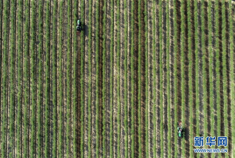 （新華全媒頭條&middot;壯麗70年&middot;奮斗新時(shí)代&middot;圖文互動）（8）中國減貧的西海固報(bào)告