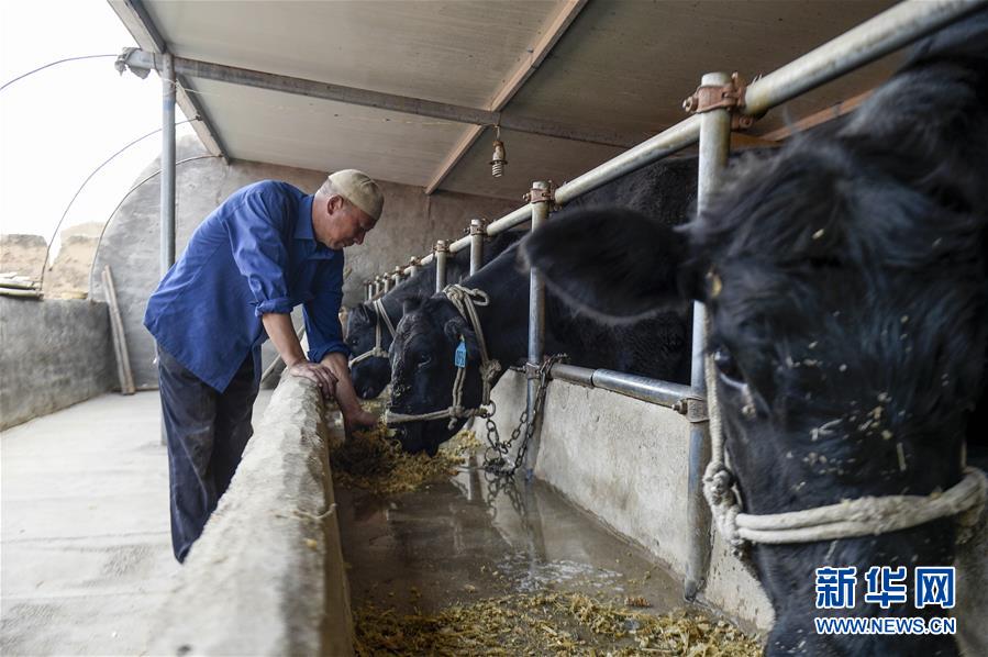 （新華全媒頭條&middot;壯麗70年&middot;奮斗新時(shí)代&middot;圖文互動）（10）中國減貧的西海固報(bào)告