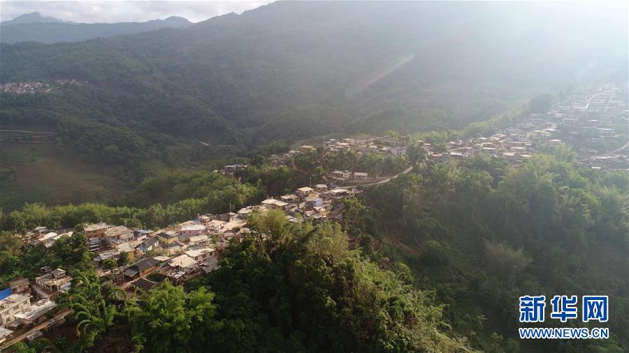 （直過(guò)民族脫貧攻堅(jiān)&middot;圖文互動(dòng)）（1）又見(jiàn)白鷴鳥(niǎo)