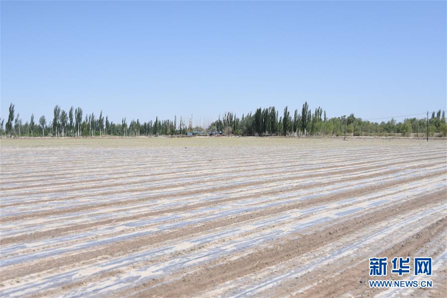 (圖文互動)(3)吐木爾家最后一個農(nóng)民