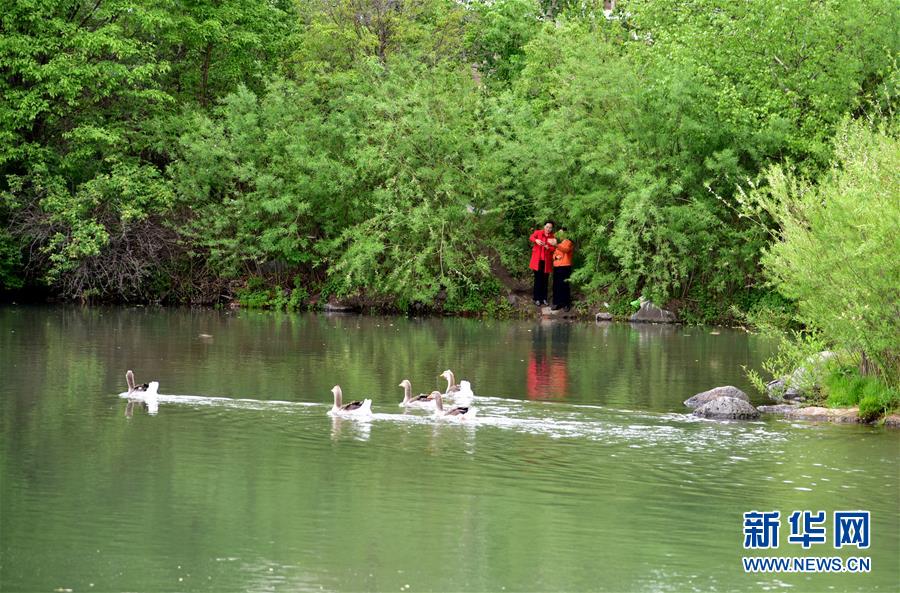 （在習(xí)近平新時(shí)代中國(guó)特色社會(huì)主義思想指引下&mdash;&mdash;新時(shí)代新作為新篇章&middot;圖文互動(dòng)）（4）在這里，遇見(jiàn)&ldquo;詩(shī)和遠(yuǎn)方&rdquo;&mdash;&mdash;長(zhǎng)白山下&ldquo;第一鎮(zhèn)&rdquo;的全域旅游實(shí)踐