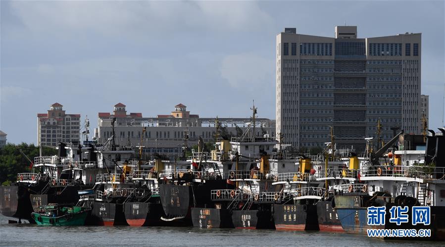 （社會）（1）?？冢捍盎馗郾芘_風