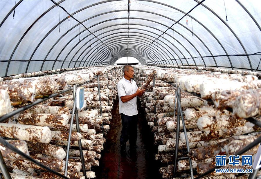 （新華全媒頭條&middot;圖文互動(dòng)）（10）一個(gè)傳統(tǒng)農(nóng)業(yè)縣的脫貧之路&mdash;&mdash;來(lái)自河北新河的調(diào)查報(bào)告